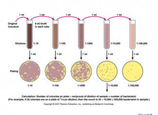 شمارش کلی میکروبی