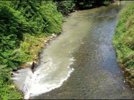 شوینده ها و محیط زیست