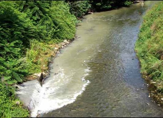 شوینده ها و محیط زیست