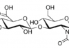 هیالورونیک اسید/Hyaluronic acid