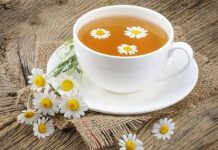 بابونه/Chamomile