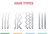 انواع مو / hair types